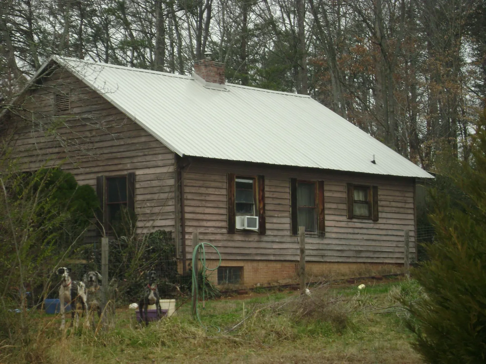 White metal roof on an old wood sided farmhouse, from a Asphalt Shingle Roof Repair job in Guatay